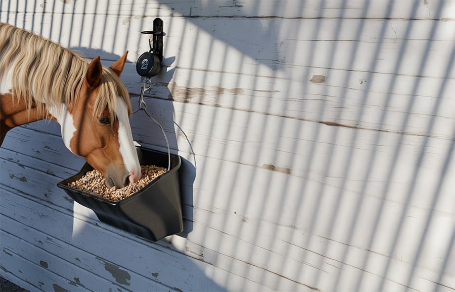 A chestnut horse eats feed from a black bucket attached to a hook in its stall. Overlaid on the image is a feed consumption dashboard showing 4.3 lbs left, a total amount of consumed feed of 3.1 lbs (marked as usual), and last refill indicated 2 hours ago.